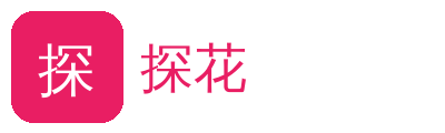 探花